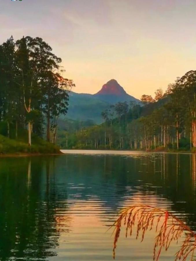 Punsisi Resort - Adam'S Peak 날라탄니야 외부 사진