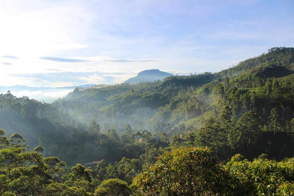 Punsisi Resort - Adam'S Peak 날라탄니야 외부 사진